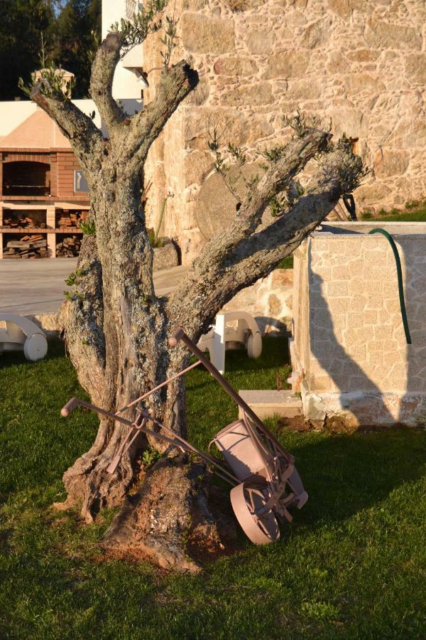 Casa Da Trapa Βίλα Oliveira de Azemeis Εξωτερικό φωτογραφία